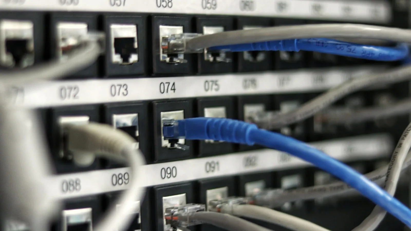 Nahaufnahme eines Patchfelds: nummerierte Ports, blaue und graue Netzwerkkabel